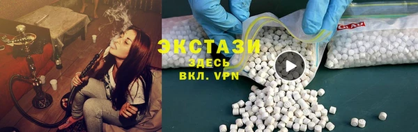 ECSTASY Богданович